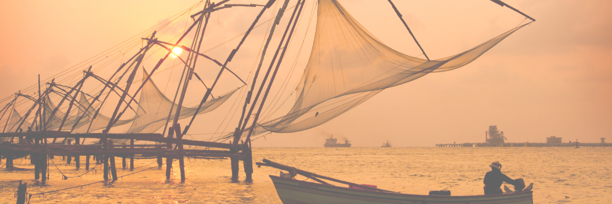 visit kerala and south India